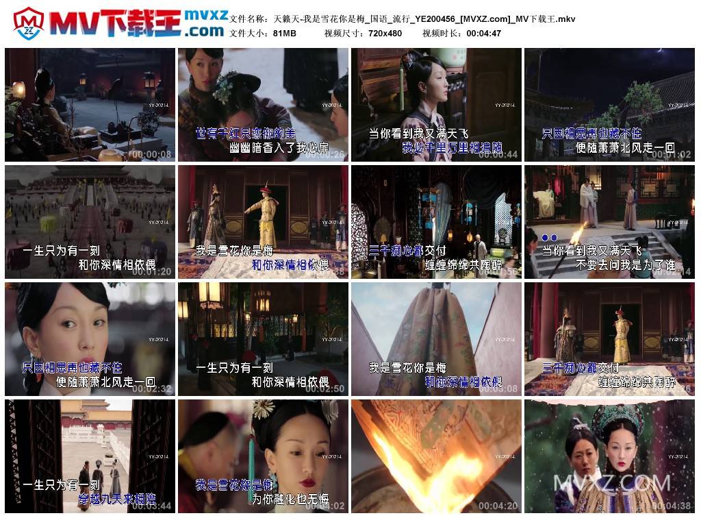 天籁天-我是雪花你是梅_国语_流行_YE200456